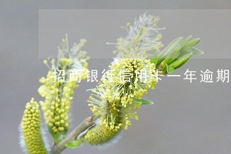招商银行信用卡一年逾期两次 招商银行信用卡一年逾期两次