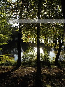 招商银行信用卡七万逾期三个月 招商银行信用卡七万逾期三个月