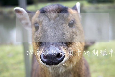招商银行信用卡两期账单逾期 招商银行信用卡两期账单逾期