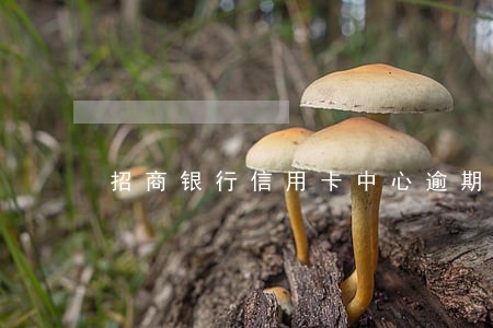 招商银行信用卡中心逾期一次 招商银行信用卡中心逾期一次