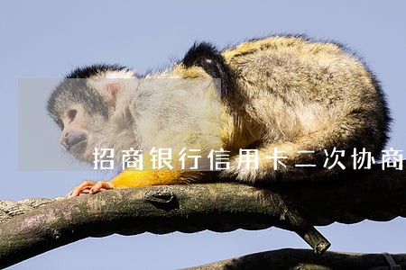 招商银行信用卡二次协商逾期