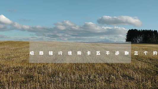 招商银行信用卡五千逾期三个月