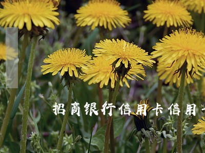 招商银行信用卡信用卡逾期 招商银行信用卡信用卡逾期