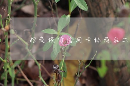 招商银行信用卡协商后二次逾期 招商银行信用卡协商后二次逾期