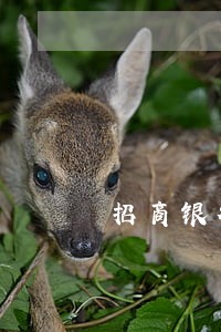 招商银行信用卡协商逾期 招商银行信用卡协商逾期