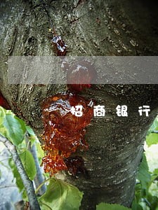 招商银行信用卡可逾期多少天