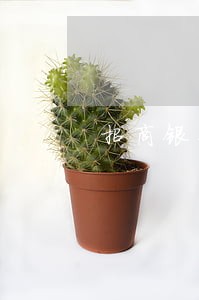 招商银行信用卡和e招贷逾期了 招商银行信用卡和e招贷逾期了