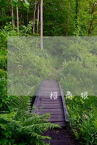 招商银行信用卡四次逾期