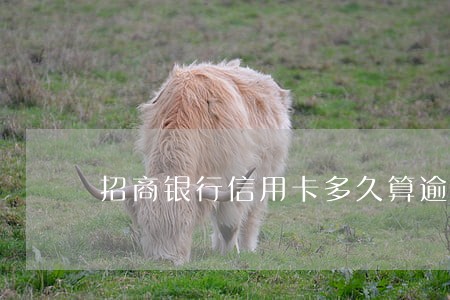 招商银行信用卡多久算逾期6 招商银行信用卡多久算逾期6