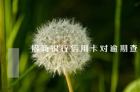 招商银行信用卡对逾期查的严吗 招商银行信用卡对逾期查的严吗