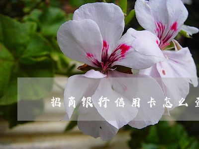 招商银行信用卡怎么查是否逾期