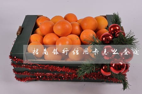 招商银行信用卡怎么查逾期