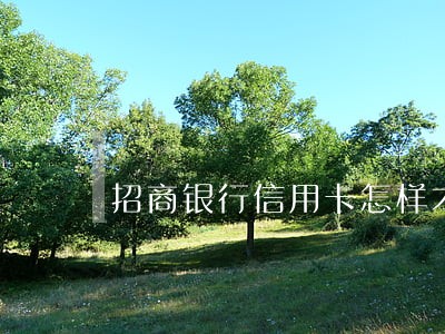招商银行信用卡怎样才算逾期