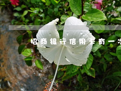 招商银行信用卡有一次逾期