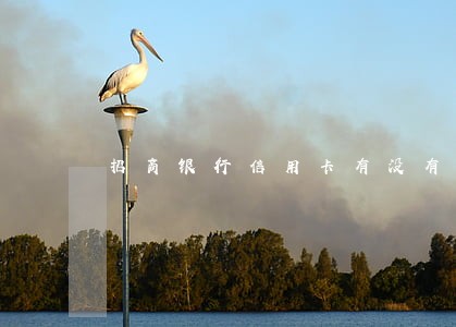 招商银行信用卡有没有逾期 招商银行信用卡有没有逾期
