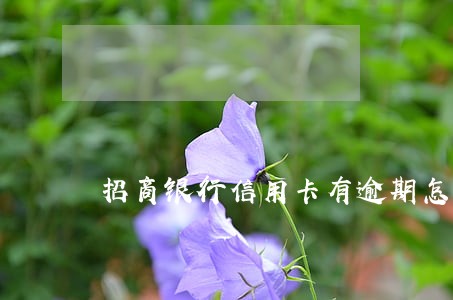 招商银行信用卡有逾期怎么解除 招商银行信用卡有逾期怎么解除