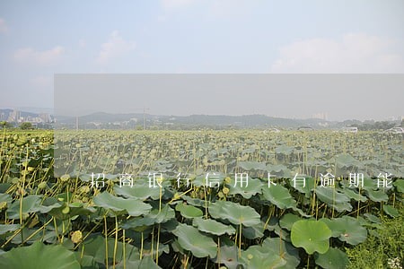 招商银行信用卡有逾期能办银行卡 招商银行信用卡有逾期能办银行卡