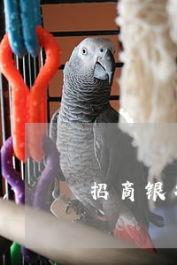 招商银行信用卡有逾期还款怎么办