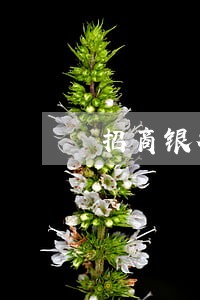招商银行信用卡欠款2w多逾期 招商银行信用卡欠款2w多逾期