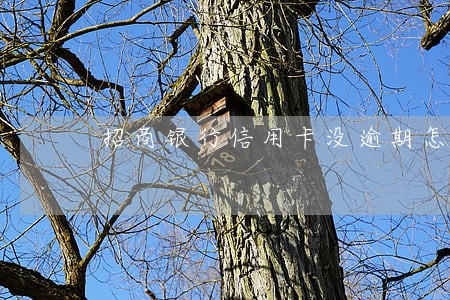 招商银行信用卡没逾期怎么不提额 招商银行信用卡没逾期怎么不提额