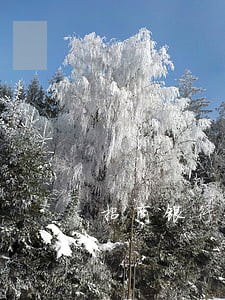 招商银行信用卡激活说逾期失效 招商银行信用卡激活说逾期失效