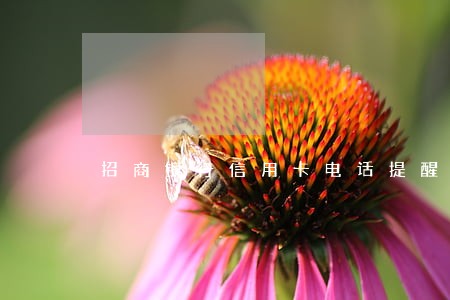 招商银行信用卡电话提醒逾期 招商银行信用卡电话提醒逾期