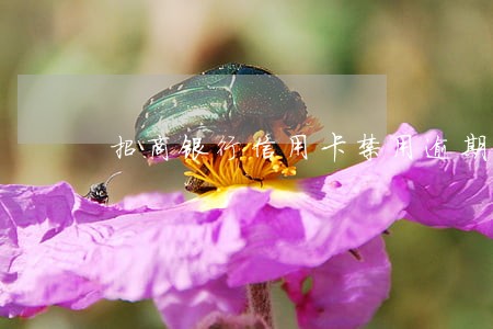 招商银行信用卡禁用逾期28天 招商银行信用卡禁用逾期28天