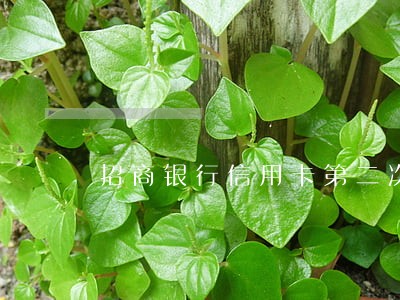 招商银行信用卡第二次逾期 招商银行信用卡第二次逾期