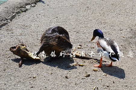 招商银行信用卡能不能逾期一天 招商银行信用卡能不能逾期一天