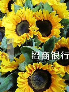 招商银行信用卡超期几天算逾期 招商银行信用卡超期几天算逾期