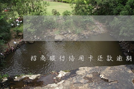 招商银行信用卡还款逾期后果 招商银行信用卡还款逾期后果