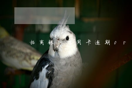 招商银行信用卡逾期0531