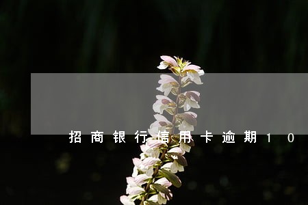 招商银行信用卡逾期10000 招商银行信用卡逾期10000