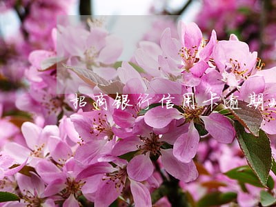 招商银行信用卡逾期2000块 招商银行信用卡逾期2000块