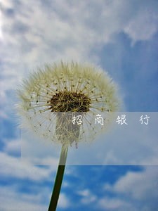 招商银行信用卡逾期238处理 招商银行信用卡逾期238处理