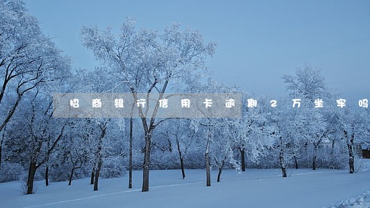 招商银行信用卡逾期2万坐牢吗 招商银行信用卡逾期2万坐牢吗