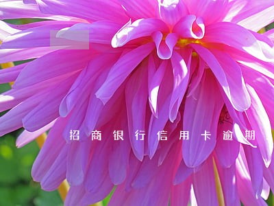 招商银行信用卡逾期3天 招商银行信用卡逾期3天