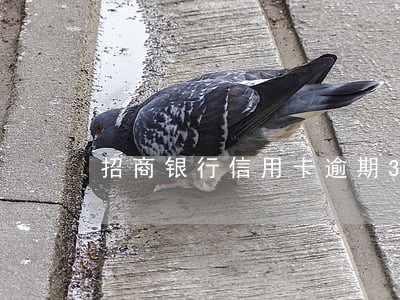 招商银行信用卡逾期3天内还款