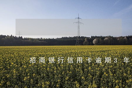 招商银行信用卡逾期3年