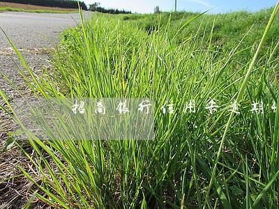 招商银行信用卡逾期4个月的后果
