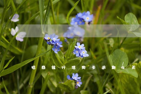 招商银行信用卡逾期4天有事吗 招商银行信用卡逾期4天有事吗