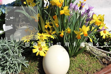 招商银行信用卡逾期4天还款后果 招商银行信用卡逾期4天还款后果