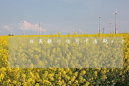 招商银行信用卡逾期4次怎么解决 招商银行信用卡逾期4次怎么解决