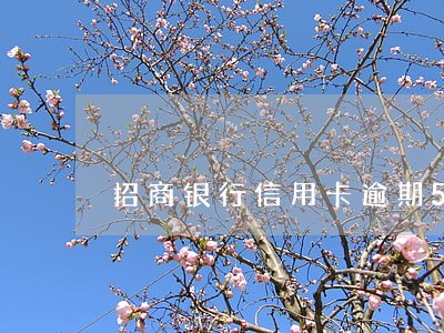 招商银行信用卡逾期5万判几年 招商银行信用卡逾期5万判几年
