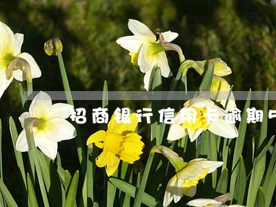 招商银行信用卡逾期5元 招商银行信用卡逾期5元