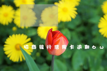 招商银行信用卡逾期6w三个月 招商银行信用卡逾期6w三个月