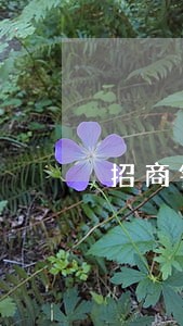 招商银行信用卡逾期6万10年