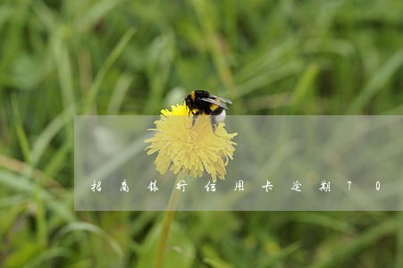 招商银行信用卡逾期700元 招商银行信用卡逾期700元