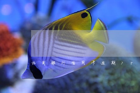 招商银行信用卡逾期75天 招商银行信用卡逾期75天