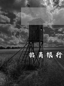 招商银行信用卡逾期7天之内 招商银行信用卡逾期7天之内